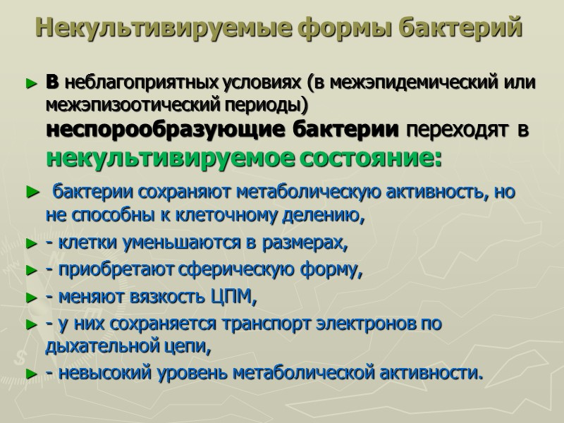 Некультивируемые формы бактерий  В неблагоприятных условиях (в межэпидемический или межэпизоотический периоды) неспорообразующие бактерии